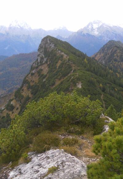 Törlkopf aus dem Karkopf Südrücken