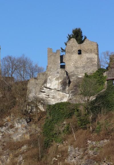 Blick auf die Burgruine bei Hals
