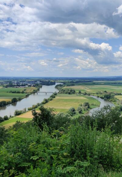 Aussicht vom Bogenberg nach Norden