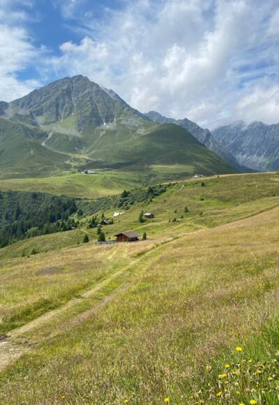 Blick über die Bergwiesen zur Krimpenbachalm und zum 2646 m hohen Rosskogel.