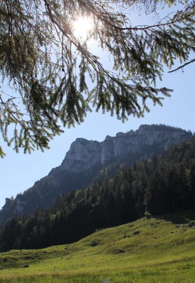Blick auf die Gedererwand von den Weidewiesen der Maureralm