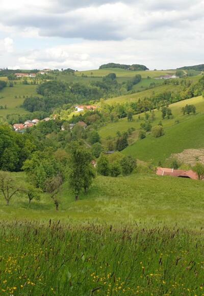 Kleinramingtal (vom Ausläufer des Dambergrückens aus gesehen)