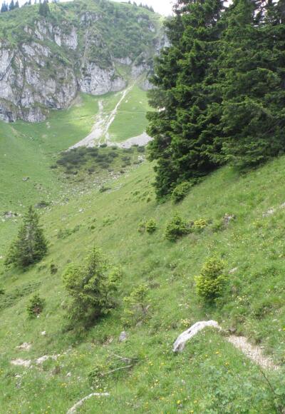 Unter dem Stangeneck