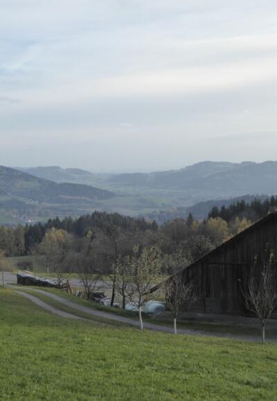 Blick von Unternebling