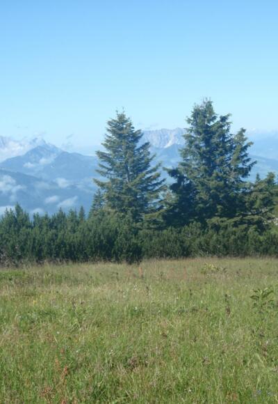 An der Hörndlwand