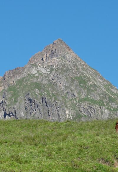 Blick zum Gr. Rettenstein
