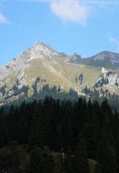 Aggenstein mit Bad Kissinger Hütte