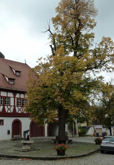 Markt Einersheim