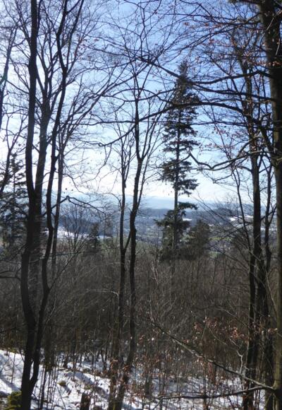 Blick vom Schlossberg