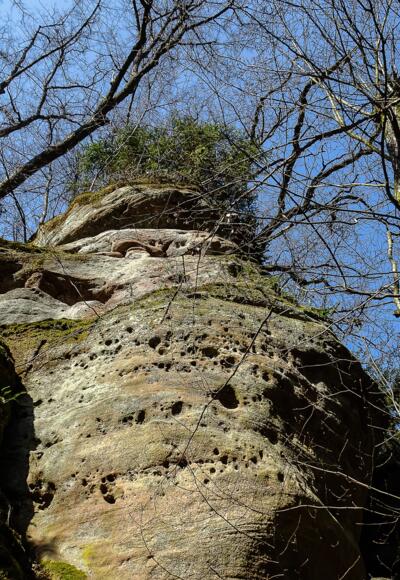 Felsblöcke aus Burgsandstein