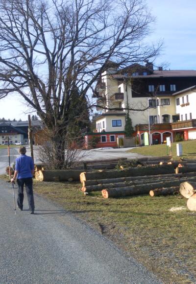 Eugendorfer Berg