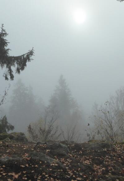 Aussichtspunkt Sattelberg