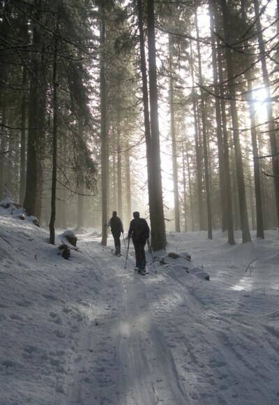 Skiroute im Hochwald