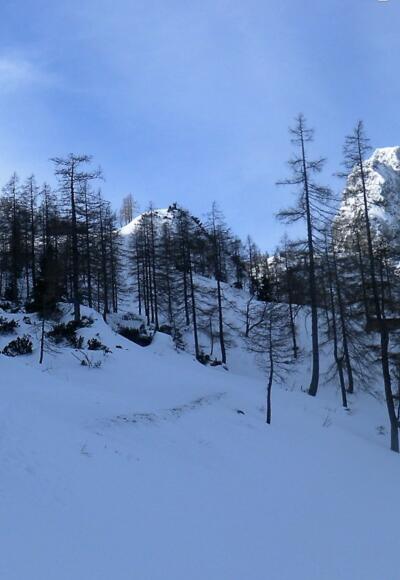 Gsenghöhe links, Traunsteine rechts