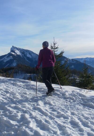 Schafbergblick