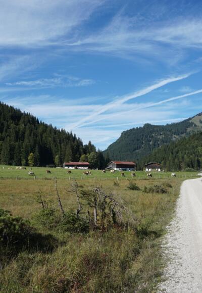 Röthelmoosalm