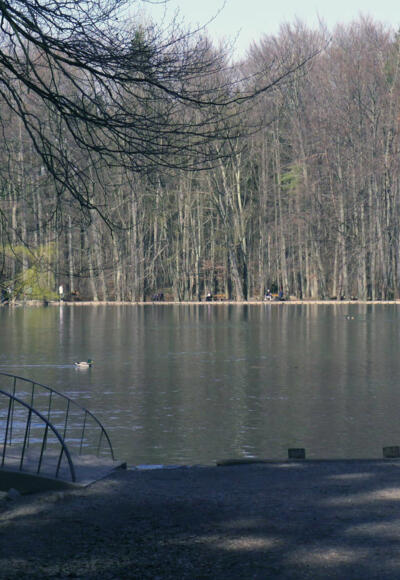 Stempflesee nahe der Sportanlage Süd