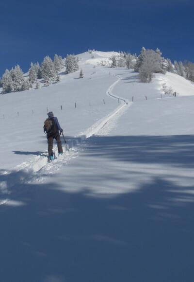 Schlenken Südflanke