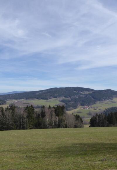 Ausblick bei Zierling