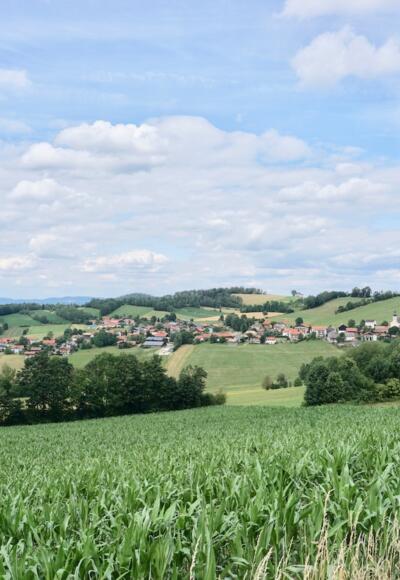 Blick auf Rittsteig
