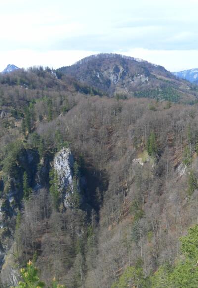 Plomberg von der Drachenwand