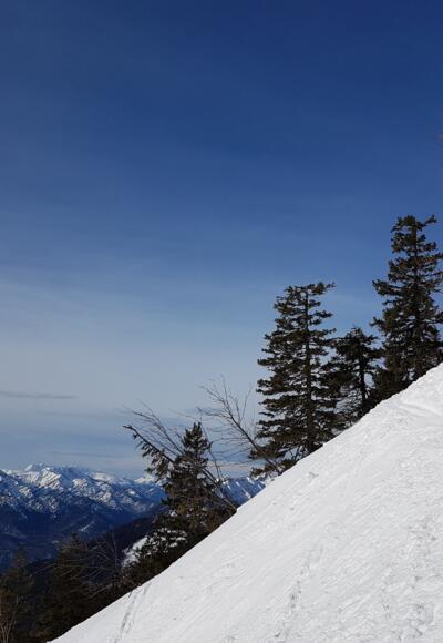 Auf 1550 m mit Blick nach Südwesten: Sonntagshorn