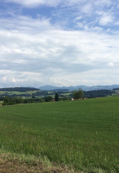 Blick von Lindenberg
