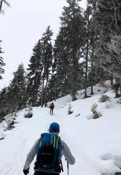 Aufstieg durch den Wald auf ca. 1000m Höhe