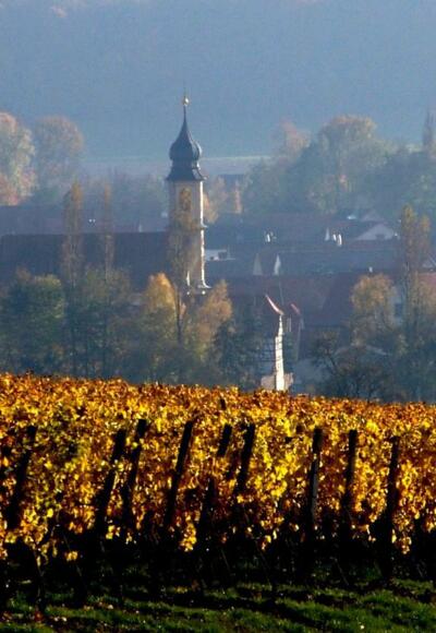 Michelau im Steigerwald