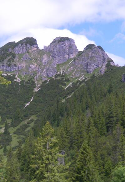 Bayerischer Schinder