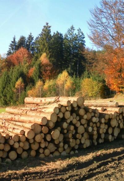 Startpunkt nach Kimleinsdorf