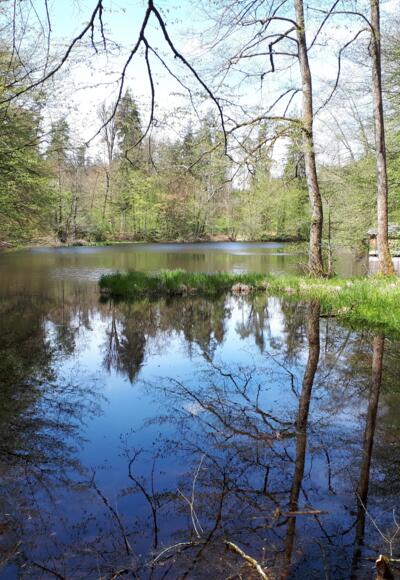 Bootshütte am Huckinger See