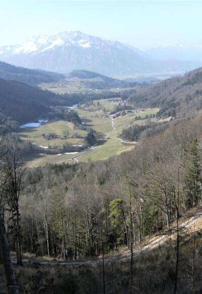 Tiefblick aus der Schneise