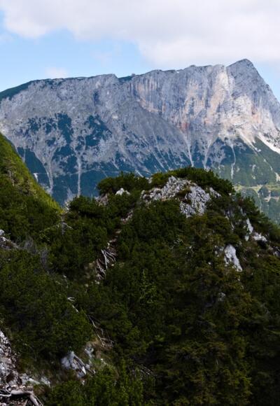 Weiterer Wegverlauf und Untersberg