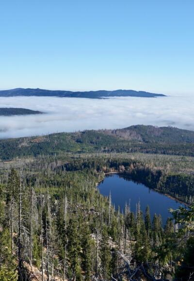 Blick zum Plöckensteinsee im Abstieg zum See