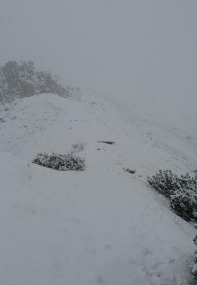Schneefall auf 2000 Meter
