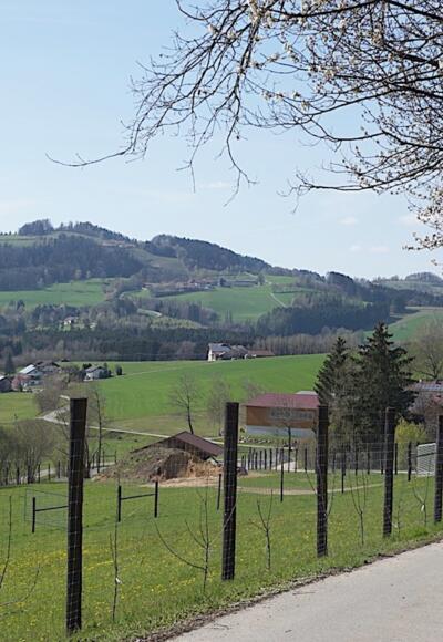 Untergrub mit Blick zum Gallner