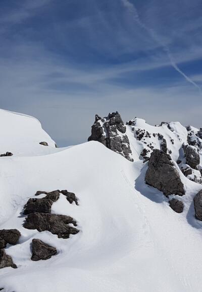 Hinterer Scharnitzkopf 2554m