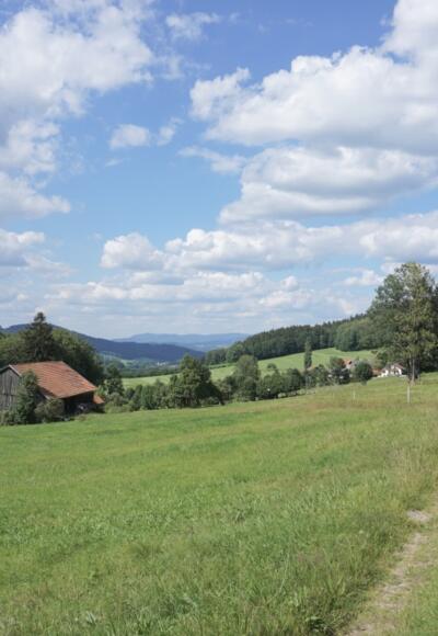 im Riedbachtal - gleich geht es rechts bergauf