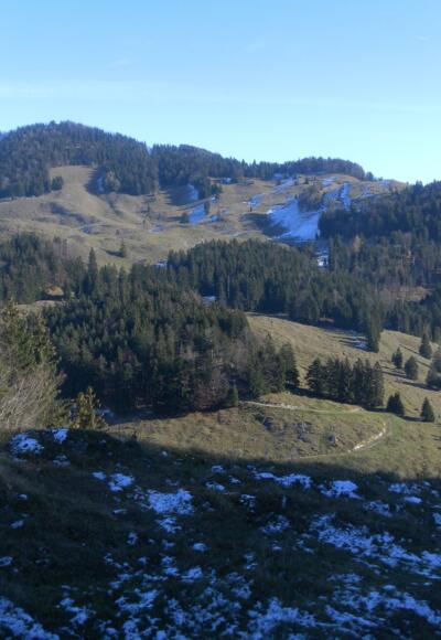 Pasterkopf oder Pastaukopf