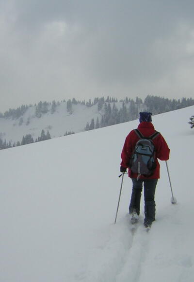 am Pillsteinsattel, dahinter der Illingerberg