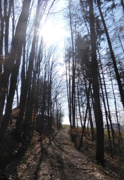 Aufstieg auf den Vorderen Buchenberg