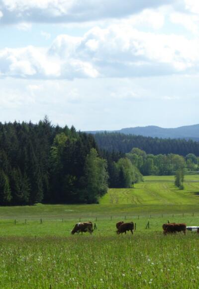 Blicke bei Spielberg