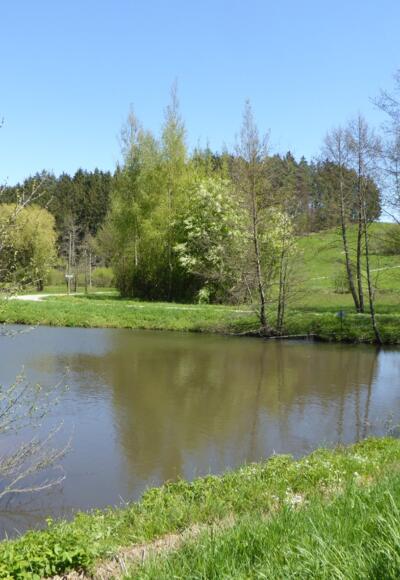Weiher am Spitalbach
