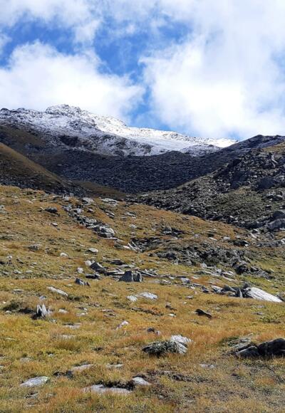 Auf den Malgrübler im Voldertal - über die Vorbergalm rauf, runter über die Markisalm. Die Fotos erstanden am ersten Tag nach einem Wettersturz (01.09.2021).