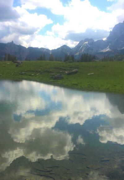Vereiner Alm