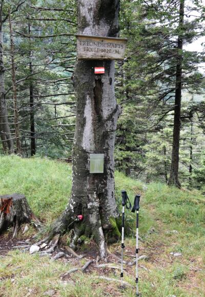Der "Gipfel" der Freundschaftshöhe (1.020 m) mit Gipfelbuch und Holzschild.