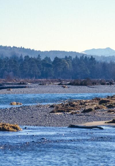 Isar. Im Hintergrund der Juifen