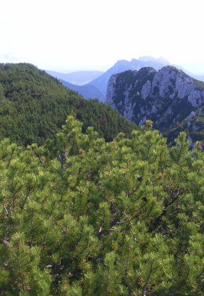 Obinger Kreuz links, Hörndlwand rechts