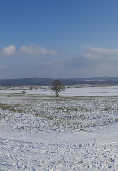 Blick ins Ampermoos